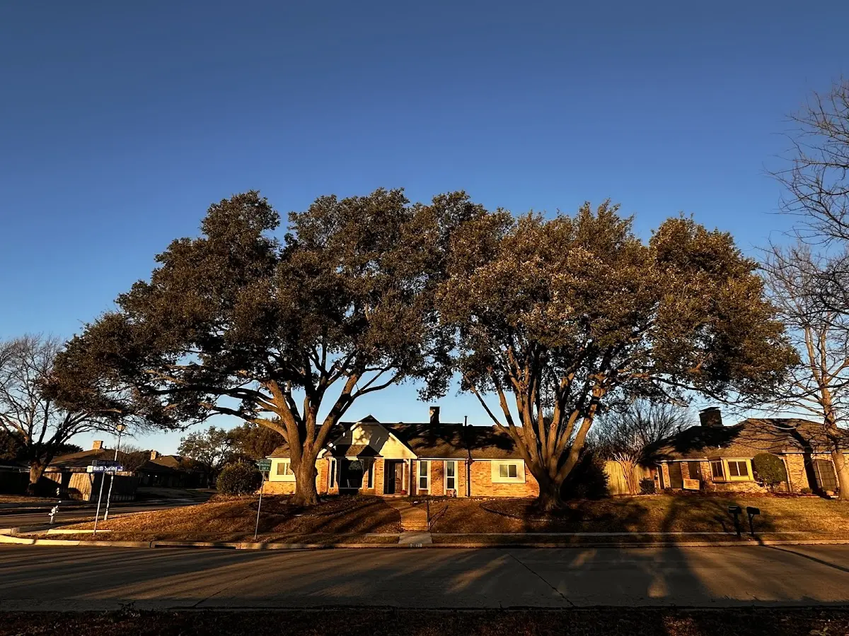 Established residential canopy tree shading a home in Russellton